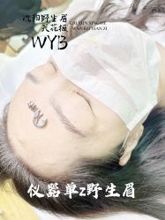 -宛央半永久·美学研究所