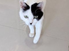 -平行世界·猫咖(首经贸店)