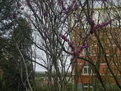 -北京商贸学校