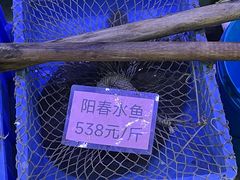 -八仔大富楼·河鲜(西江店)