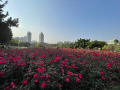 -深圳龙潭公园