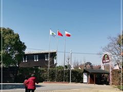 -金山农民画村-枫泾波兰倒置屋