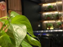 -AK47烤羊腿串吧(柳浪家园店)