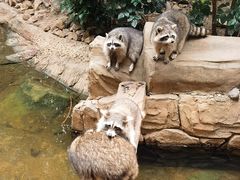 -长鹿旅游休博园