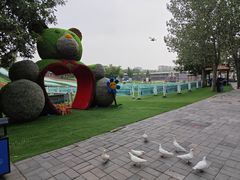 -北京鹿世界主题园