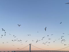 -星海广场