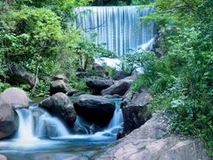 -大奇山国家森林公园
