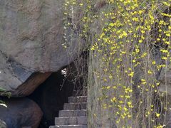 -鲁山国家森林公园