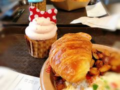 -奥兰多迪士尼动物王国乐园