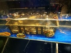 -烧货·活海鲜炭烧(湖滨商业街店)