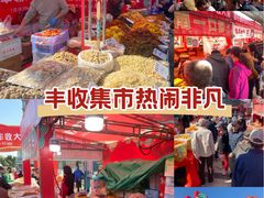-南翠屏公园