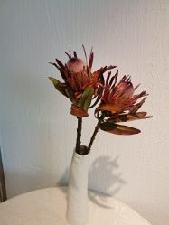 -小梨·OndaPro·专业脱毛连锁机构
