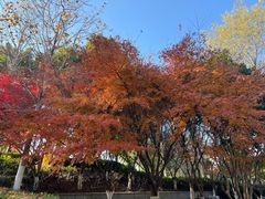 -滨湖塘西河公园
