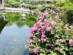 -趵突泉景区