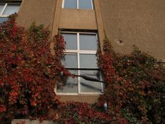 -辽宁大学(崇山校区)