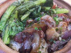 -广宁炭炉鸡煲·富临门饭店