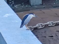 -闽江夜游台江旅游码头