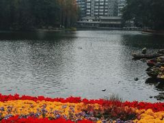 -荔湾湖公园