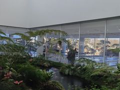 -罗红摄影艺术馆