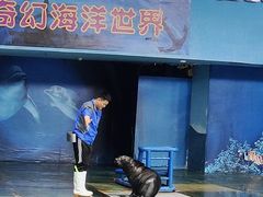 -苏州海洋馆