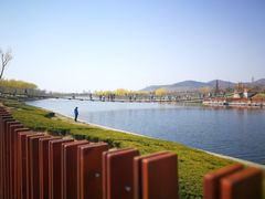 -羊亭河湿地公园