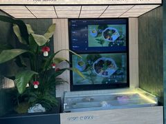 -芸山季·云南山珍菌火锅(南翔印象城MEGA店)