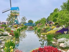 -荷兰花海
