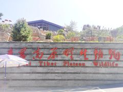 -青藏高原野生动物园
