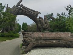-广富林郊野公园