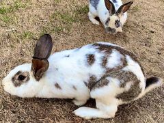 -云峰山自然风景区