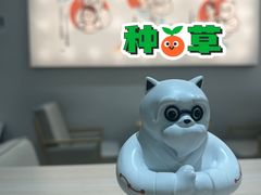 -长风拨筋养身(飞洲国际店)