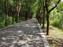 -同里国家湿地公园