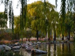-石家庄市植物园