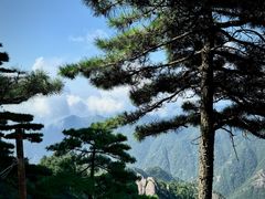 -黄山风景区