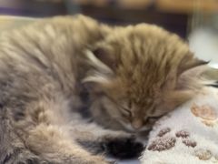 -万达广场(太原街店)