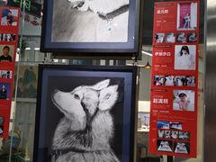 -阿妮亚少儿美术书法(望京店)