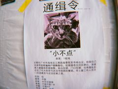 -南泰百货批发市场