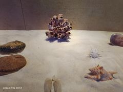 -广东省博物馆