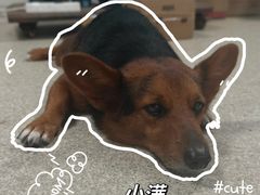 -盘古掌冲浪俱乐部(日月湾店)