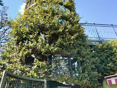 -三鹰之森吉卜力美术馆