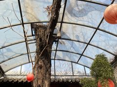 -zarah(鼓楼店)
