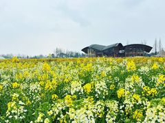 -中国天府农业博览园