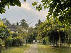 -中国科学院西双版纳热带植物园