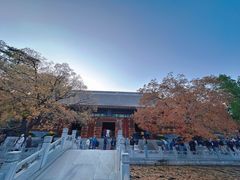 -香山公园