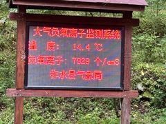 -牛背梁国家森林公园