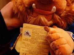 -巴黎迪士尼乐园