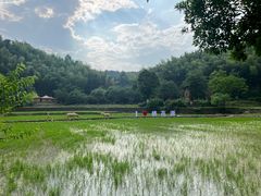 -常德桃花源景区