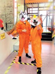 -嗨翻Hi-Fun竞技主题乐园·蹦床团建生日聚会(五棵松华熙店)