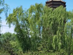 -玲珑塔公园