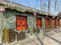 -合肥滨湖国家森林公园